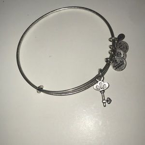 Alex and Ani